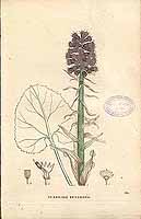  no thumbnail available