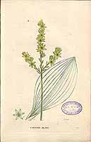  no thumbnail available