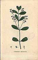  no thumbnail available