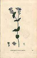  no thumbnail available