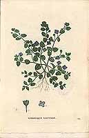  no thumbnail available