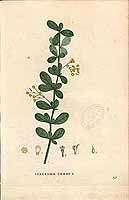  no thumbnail available