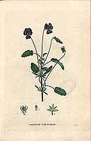  no thumbnail available