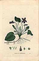  no thumbnail available