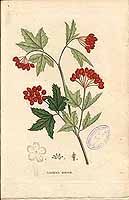  no thumbnail available