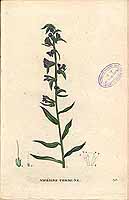  no thumbnail available