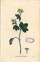  no thumbnail available