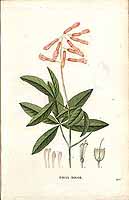  no thumbnail available