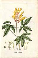  no thumbnail available