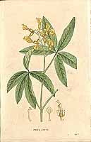  no thumbnail available