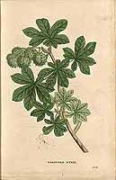  no thumbnail available