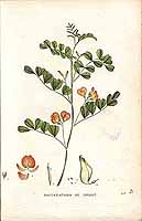  no thumbnail available