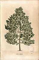  no thumbnail available