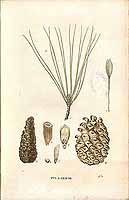  no thumbnail available