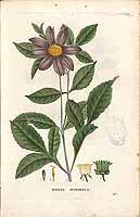  no thumbnail available