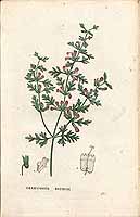  no thumbnail available