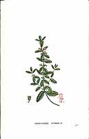  no thumbnail available