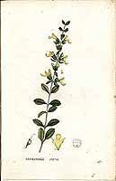  no thumbnail available