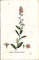  no thumbnail available