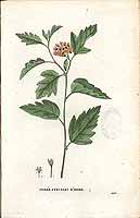  no thumbnail available