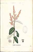  no thumbnail available