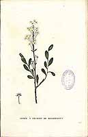  no thumbnail available