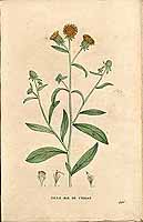  no thumbnail available