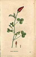  no thumbnail available