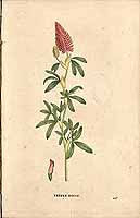  no thumbnail available