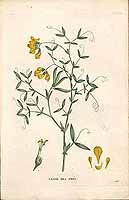  no thumbnail available