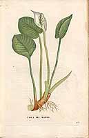  no thumbnail available