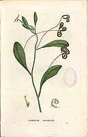  no thumbnail available