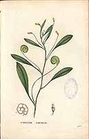  no thumbnail available