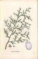  no thumbnail available