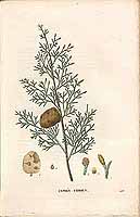  no thumbnail available