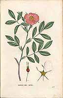  no thumbnail available