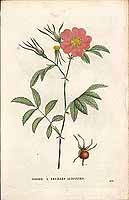  no thumbnail available