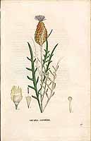  no thumbnail available