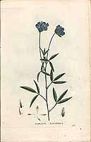  no thumbnail available