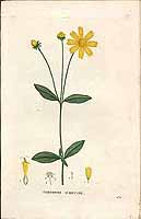  no thumbnail available