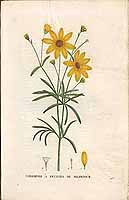  no thumbnail available