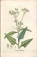  no thumbnail available