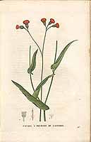  no thumbnail available