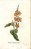  no thumbnail available