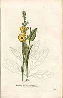  no thumbnail available