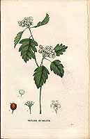  no thumbnail available