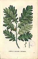  no thumbnail available