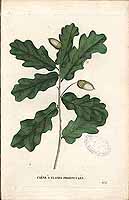  no thumbnail available