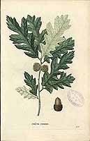  no thumbnail available