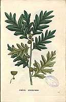  no thumbnail available